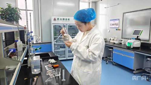 阜康雙輪驅(qū)動(dòng) 科技創(chuàng)新引領(lǐng)綠色產(chǎn)業(yè)升級(jí)與網(wǎng)絡(luò)技術(shù)服務(wù)發(fā)展